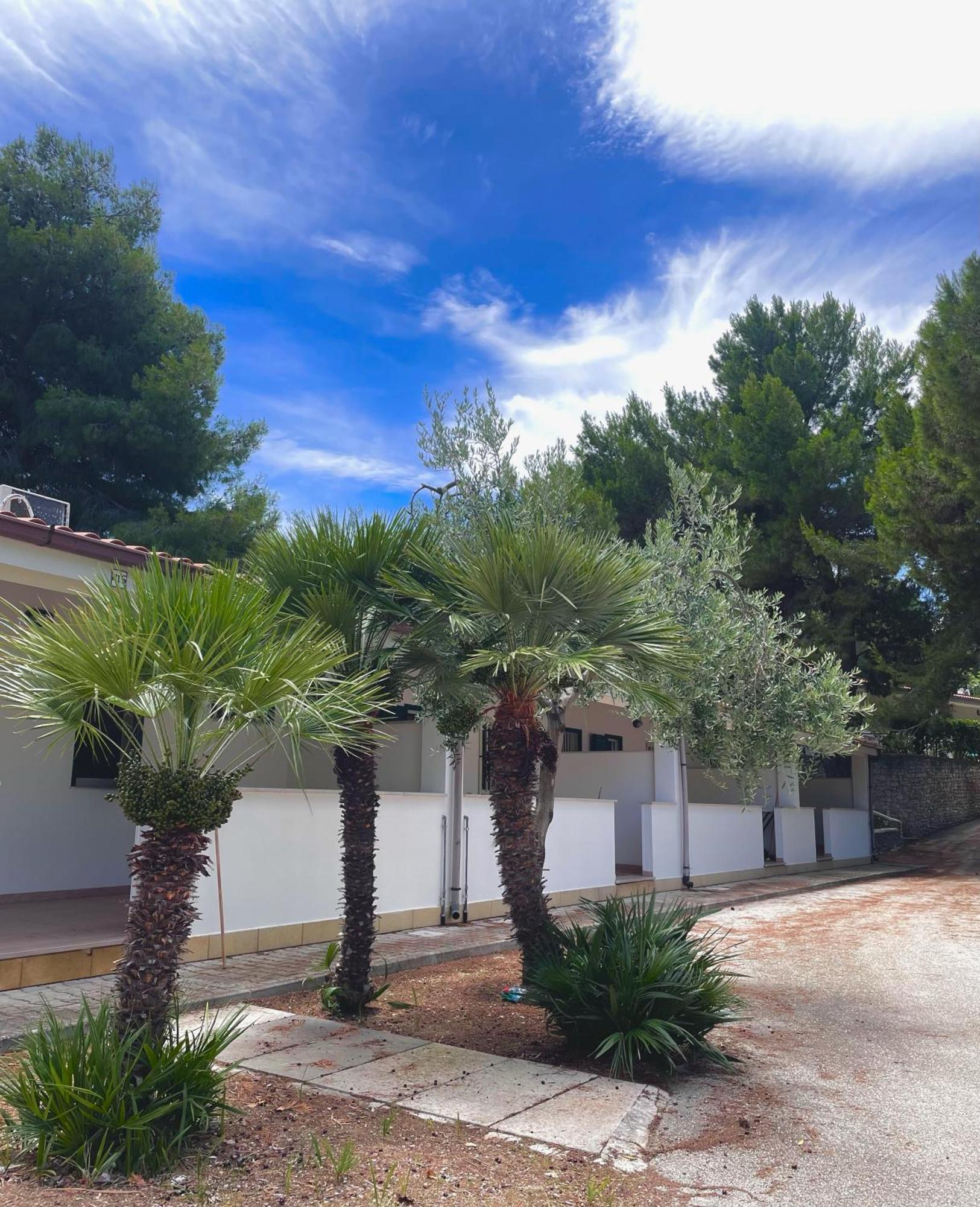 Villaggio La Giara Vieste Esterno foto